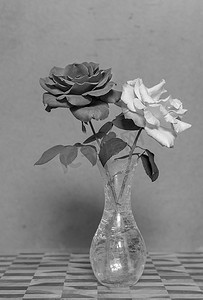 玫瑰花黑色摄影照片_Grunge 背景上的黑色和白色玫瑰花