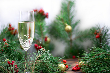 圣诞红摄影照片_圣诞组合物、香槟酒杯、松树枝、红罗文
