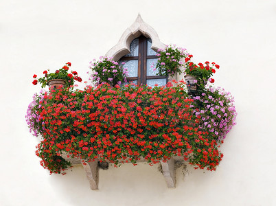 带粉色和红色花朵的意大利房屋阳台