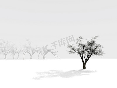 树木雾蒙蒙的轮廓背景中孤独的冬树