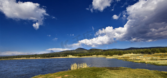 夏日风景