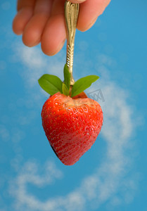 勺子里的心形草莓