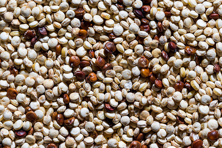 红藜摄影照片_红色和白色藜麦的未煮过的混合物。