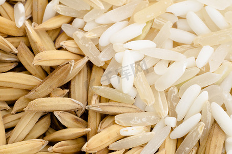五谷种子摄影照片_关闭泰国米种子和混合五谷