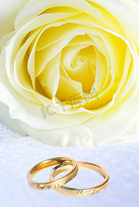 戒指和玫瑰