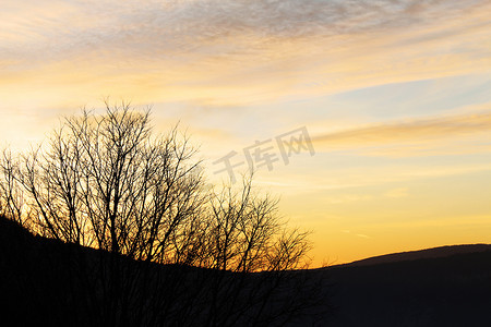 天空和树枝摄影照片_日落时的树枝和柔和的山丘黑色剪影