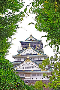 日本大阪地标历史城堡建筑与绿色
