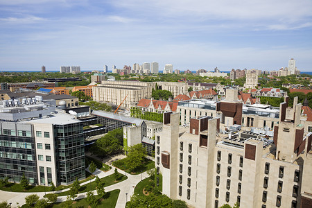 大学校园摄影照片_芝加哥大学校园