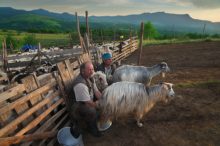 罗马尼亚马拉穆列什 — 2016 年 6 月 22 日：游客在日落期间在喀尔巴阡山脉抚摸着一匹马。