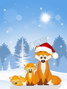 圣诞节的红狐狸
