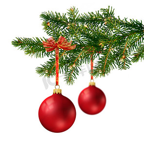 哑光圣诞球摄影照片_圣诞树枝上的两个红色玻璃球