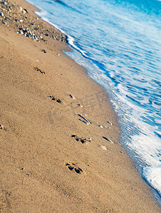 海边湿沙上的狗脚印