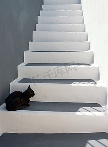 猫咪边框摄影照片_楼梯上的黑猫