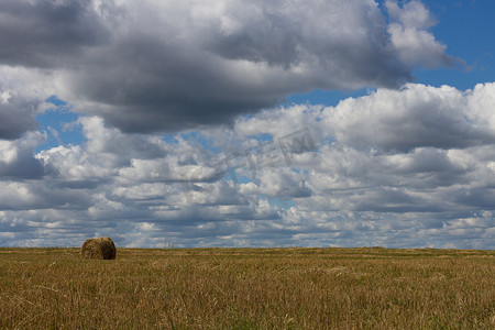 收获自然背景后的农业景观麦田