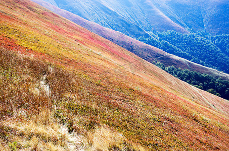 国家公园最好的山秋天在乌克兰