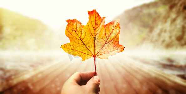 手捧地球摄影照片_在五颜六色的模糊风景中捧着秋天的枫叶