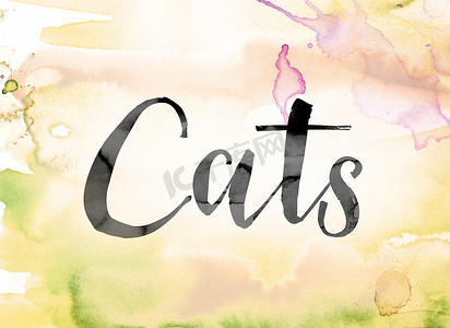 猫手绘动物摄影照片_猫彩色水彩和水墨艺术字