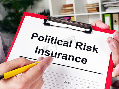 保险人提出政治风险保险形式。