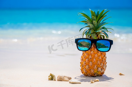 眼镜菠萝在烈日下位于海边的沙滩上，为夏季奠定了概念。