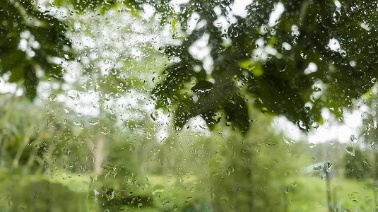 绿色自然背景下雨后，水滴落在透明窗户上。