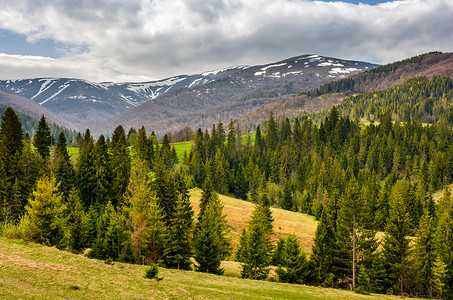 春季喀尔巴阡山脉的雪顶