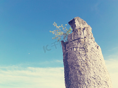 高大上的摄影照片_高大岩石上的一棵孤零零的小树