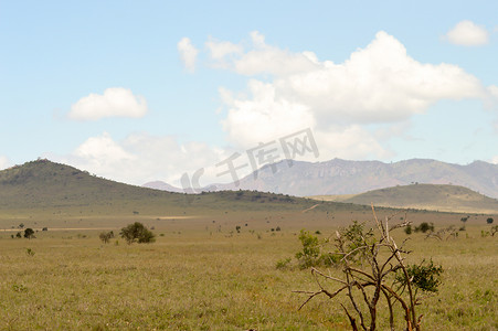 肯尼亚东察沃大草原的景色