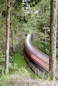 阿里山摄影照片_森林铁路