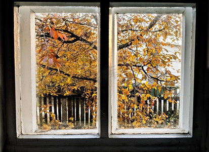 秋天窗户摄影照片_秋天的窗户可以看到树和栅栏