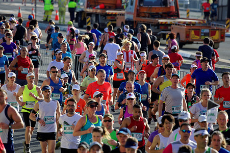 跑步节摄影照片_悉尼 - 马拉松 - 悉尼跑步节 2015