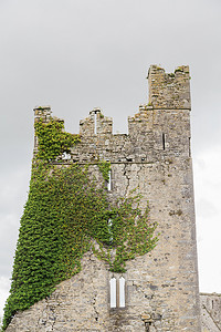 爱尔兰古石塔