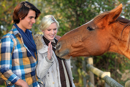 爱抚摄影照片_一对夫妇和一匹马寻求爱抚