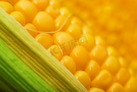 黄色玉米棒摄影照片_甜甜的黄色玉米棒宏
