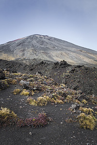 北岛摄影照片_Ngauruhoe 火山 (2291 米), 汤加里罗国家公园, 北岛