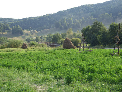 堆摄影照片_罗马尼亚科斯特斯蒂田野上的干草堆