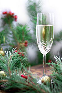 圣诞静物，香槟，松树枝，红罗文，金色