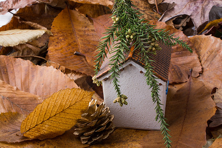 小模型房子放在秋叶上