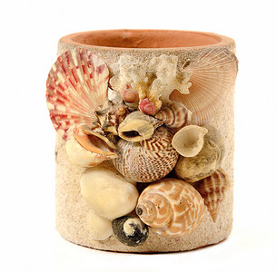 孤立的贝壳装饰花瓶