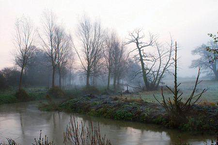 河流穿过迷雾笼罩的田野