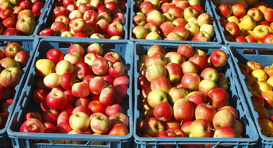 市场摊位摄影照片_市场摊位上的新鲜苹果