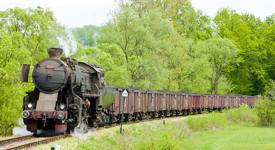 波斯尼亚和黑塞哥维那图兹拉地区的蒸汽货运列车
