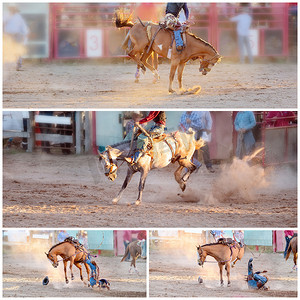 Bucking Horse Riding Rodeo Competition 的拼贴画