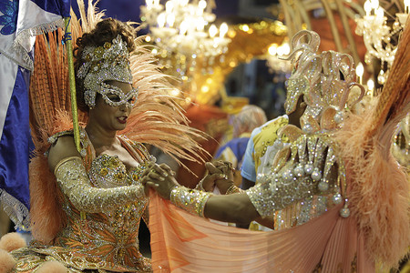 巴西 - 里约热内卢 - 狂欢节