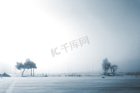 中仙境摄影照片_阴沉的冬日，光秃秃的树在雾霾中