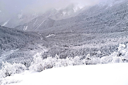 魏轻和岳山摄影照片_日本八岳山的天然雪山和树木