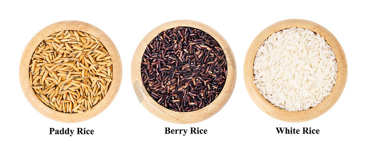 木盘中浆果米、稻谷和白米的不同