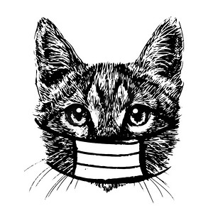 宠物插画摄影照片_手绘戴着面具的猫插画