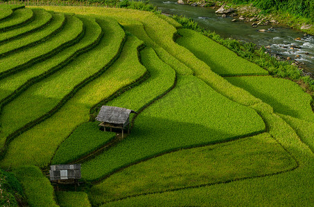 越南木昌柴梯田上的绿色稻田
