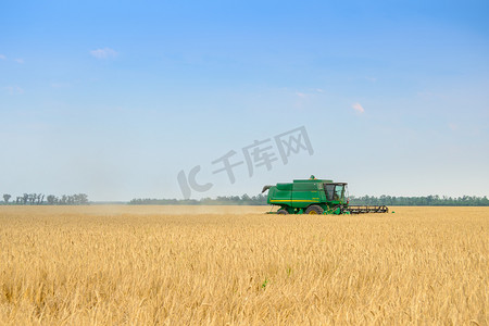 约翰迪尔联合收割机在田间收割小麦。