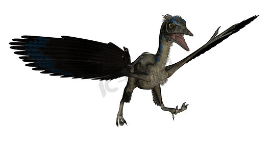 始祖鸟鸟恐龙着陆 — 3D 渲染